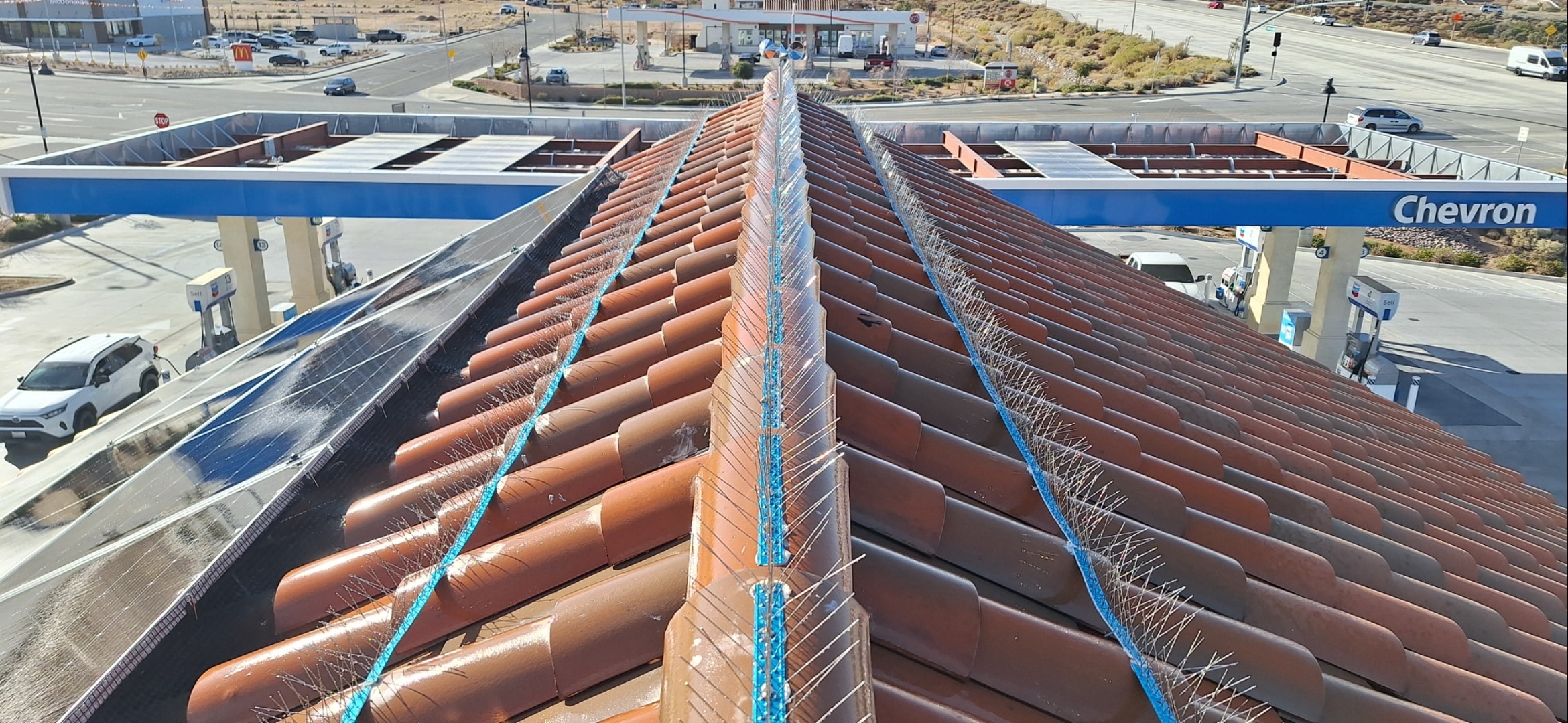Bird PROOFING