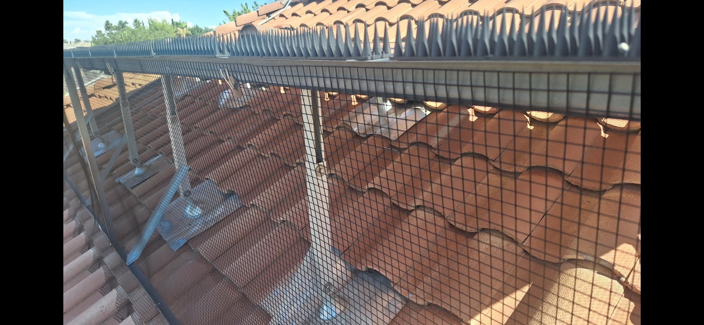 Bird deterrent mesh installed around solar panels